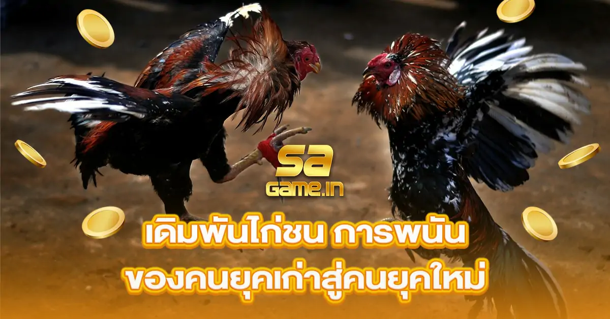 เดิมพันไก่ชน