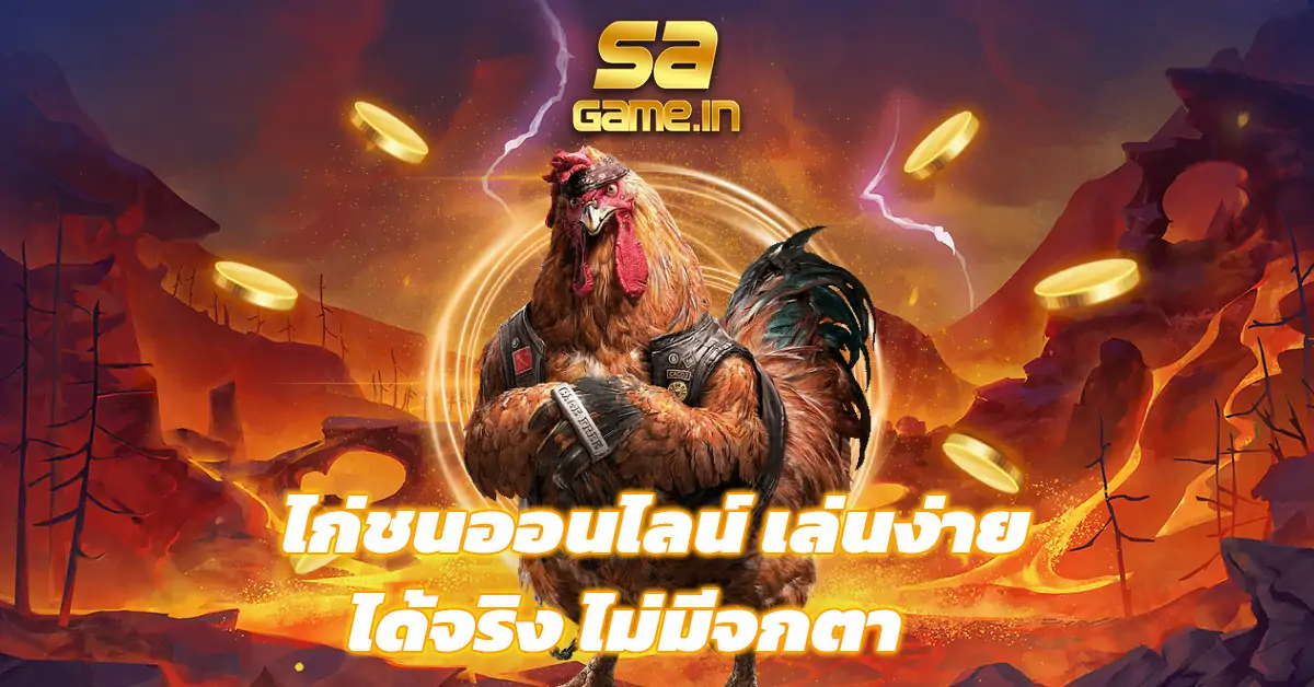 ไก่ชนออนไลน์-เล่นง่าย-ได้จริง-ไม่มีจกตา