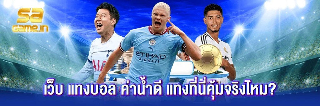 เว็บ แทงบอล panama888